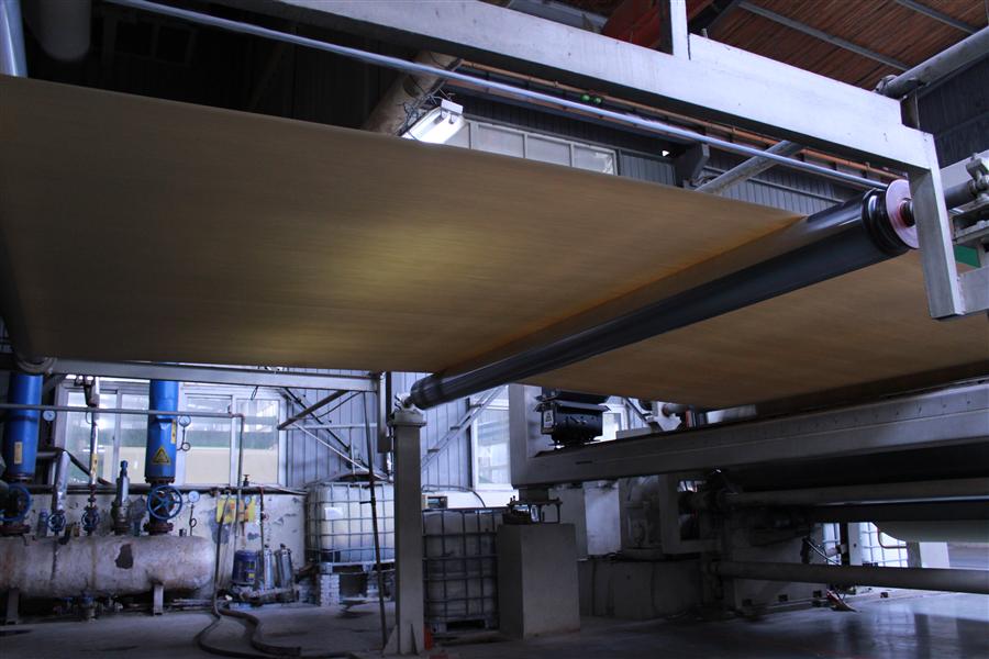 美彩国际启动2017年科普自由行运动