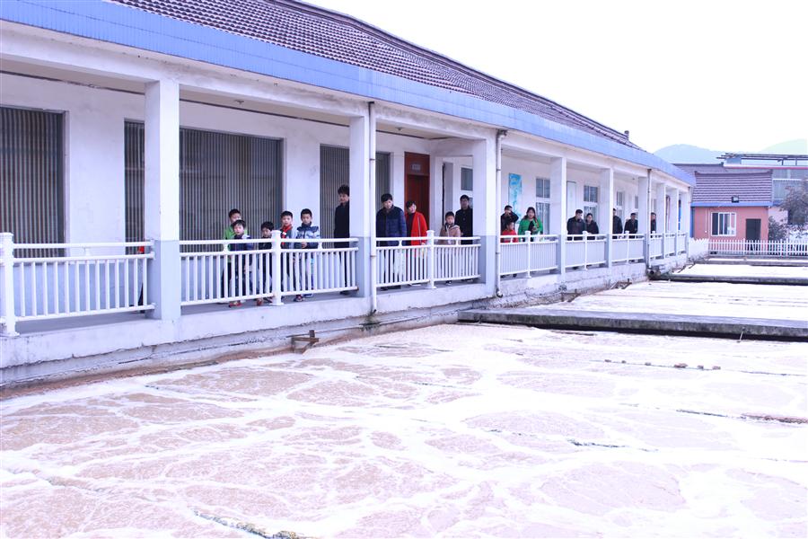 美彩国际启动2017年科普自由行运动