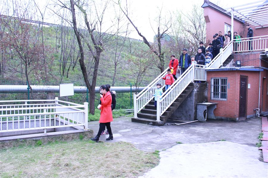 美彩国际启动2017年科普自由行运动