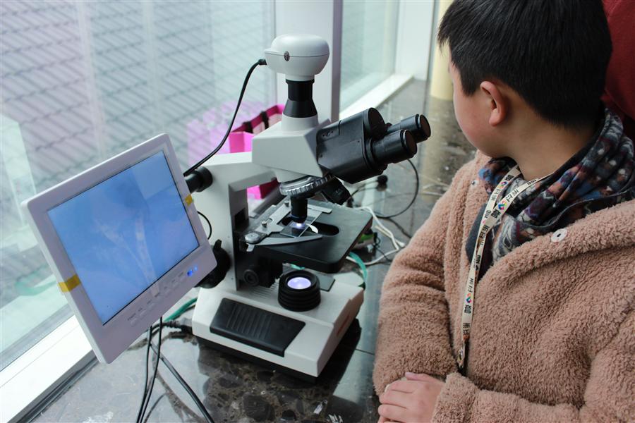 美彩国际启动2017年科普自由行运动