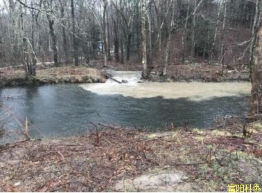 “法轮功”在美国的违法运动，绝不仅是“洗钱”