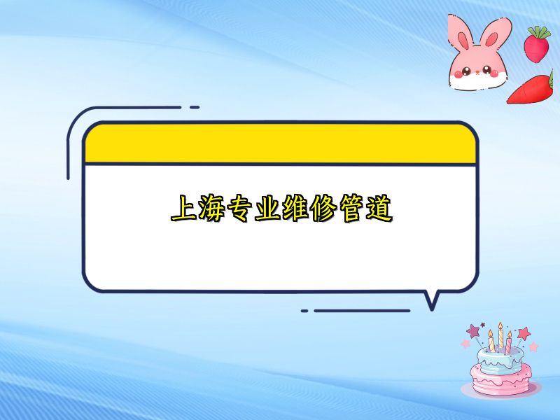 上海專(zhuān)業(yè)維修管道